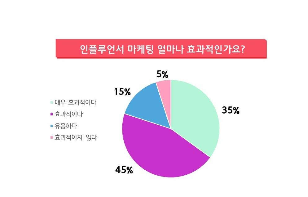 인플루언서 협업과 광고를 통한 트래픽 증대